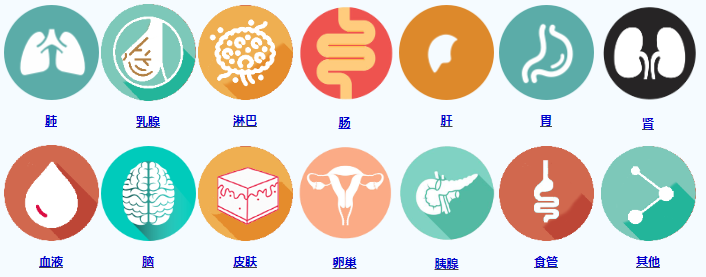 圖片4.png